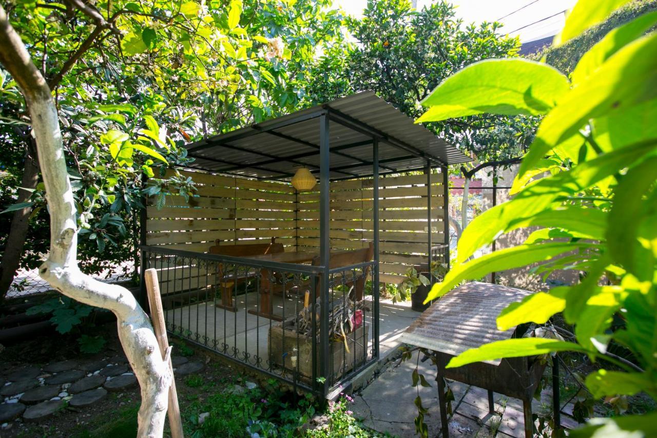 Guest House Lavr 加格拉 外观 照片